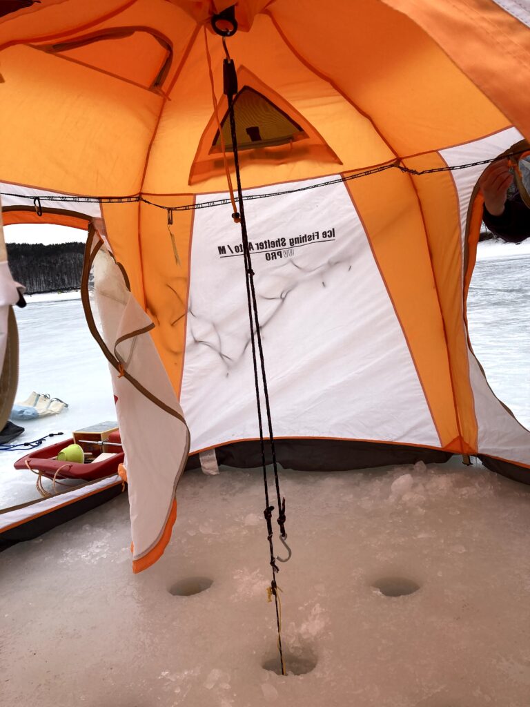 ワカサギテントペグと、中央アンカー付き ワカサギテントペグと、中央アンカー付き