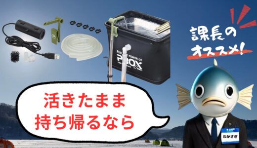 湖水汲み上げ循環ポンプミニ｜ワカサギを元気に活かせるUSB給電式循環システム