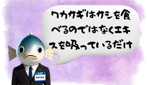 〖わかさぎ課長からのアドバイス〗ワカサギはサシを丸呑みしてる⁉食べ方と釣果アップの方法