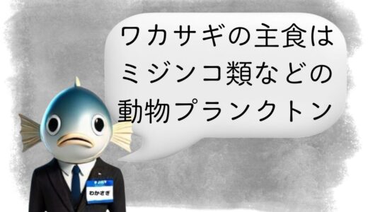 〖わかさぎ課長からのアドバイス〗ワカサギは何を食べている？主食から分かるエサ選びの基本