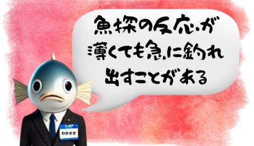 〖わかさぎ課長からのアドバイス〗ワカサギ釣りで魚探が反応しない原因と釣れるタイミング