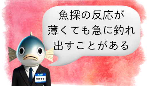 〖わかさぎ課長からのアドバイス〗ワカサギ釣りで魚探が反応しない原因と釣れるタイミング