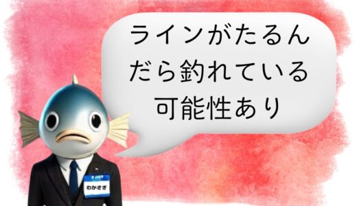 〖わかさぎ課長からのアドバイス〗見逃し注意！ラインのたるみで分かるワカサギのアタリ