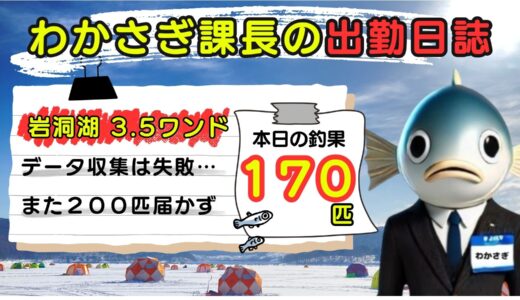 わかさぎ課長の出勤日誌｜岩洞湖氷上ワカサギ釣り【第3.5ワンド】魚探で好反応！170匹の釣果
